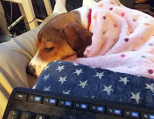 One Year Ago, We Both Found What We Were Looking For