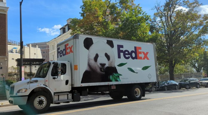 To Say There Was Panda-Monium Here In Ashburn Is An Understatement…