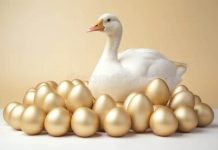 NCAA Is Going To Kill Golden Goose If They Don’t Do Something Really Soon